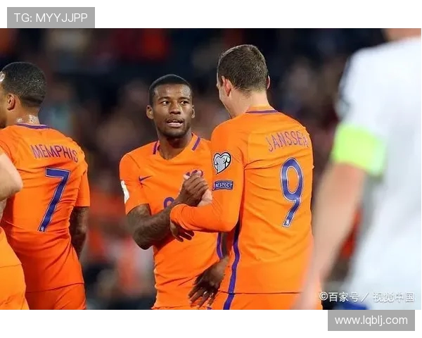 北爱尔兰与荷兰021精彩对决分析及赛后点评